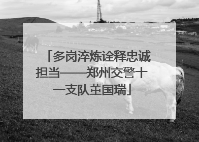 多岗淬炼诠释忠诚担当——郑州交警十一支队董国瑞