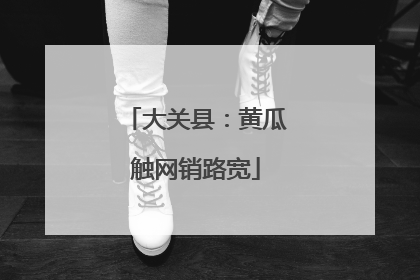 大关县：黄瓜触网销路宽