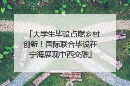 大学生毕设点燃乡村创新！国际联合毕设在宁海展现中西交融