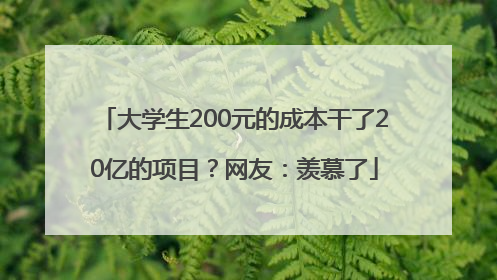 大学生200元的成本干了20亿的项目？网友：羡慕了