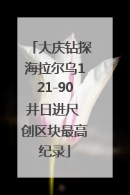 大庆钻探海拉尔乌121-90井日进尺 创区块最高纪录