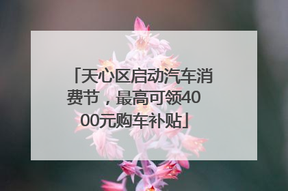 天心区启动汽车消费节，最高可领4000元购车补贴