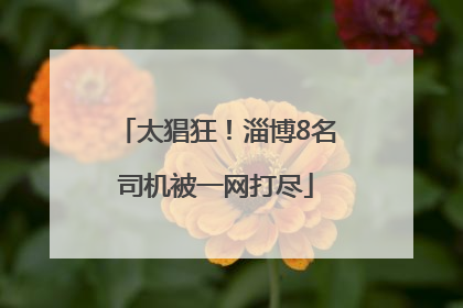 太猖狂！淄博8名司机被一网打尽