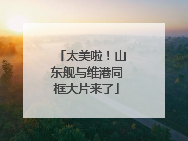太美啦！山东舰与维港同框大片来了