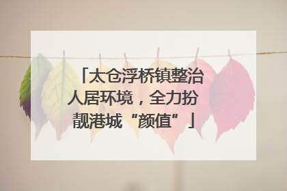 太仓浮桥镇整治人居环境，全力扮靓港城“颜值”