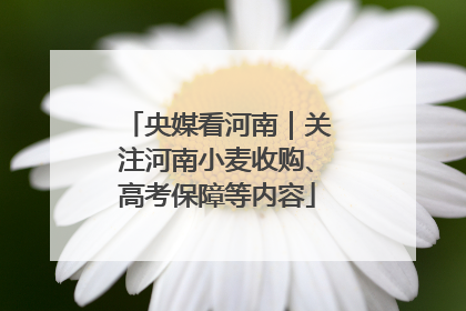 央媒看河南｜关注河南小麦收购、高考保障等内容