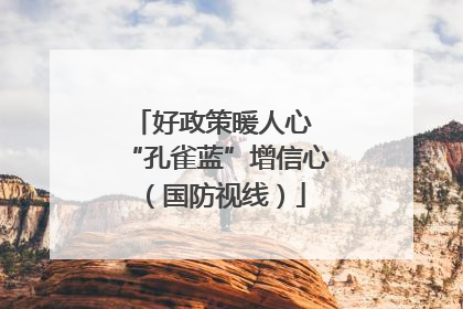 好政策暖人心 “孔雀蓝”增信心（国防视线）