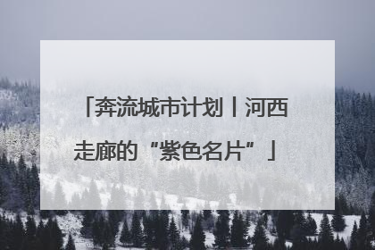 奔流城市计划丨河西走廊的“紫色名片”
