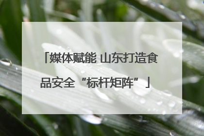 媒体赋能 山东打造食品安全“标杆矩阵”