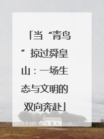 当“青鸟”掠过舜皇山：一场生态与文明的双向奔赴