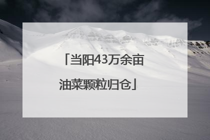 当阳43万余亩油菜颗粒归仓