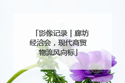影像记录｜廊坊经洽会，现代商贸物流风向标