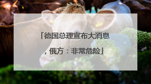 德国总理宣布大消息，俄方：非常危险