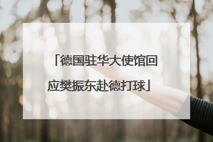 德国驻华大使馆回应樊振东赴德打球