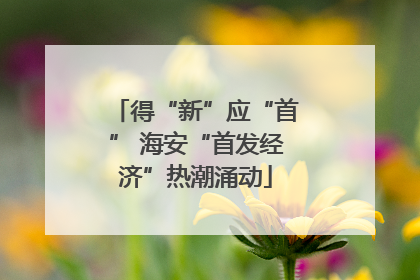 得“新”应“首” 海安“首发经济”热潮涌动