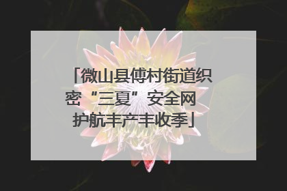 微山县傅村街道织密“三夏”安全网 护航丰产丰收季
