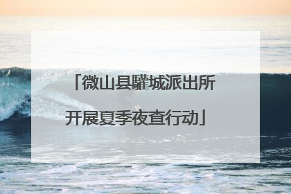 微山县驩城派出所开展夏季夜查行动