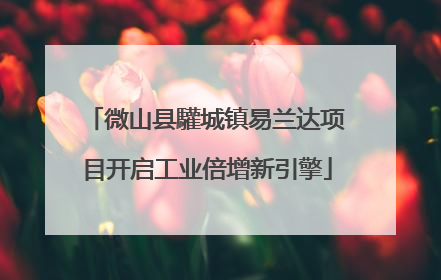微山县驩城镇易兰达项目开启工业倍增新引擎