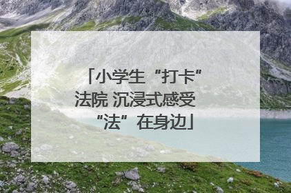 小学生“打卡”法院 沉浸式感受“法”在身边