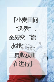 小麦田间“选秀”、蚕房变“流水线”……三夏收获正在进行