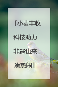 小麦丰收 科技助力 非遗也来凑热闹