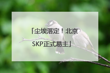 尘埃落定！北京SKP正式易主