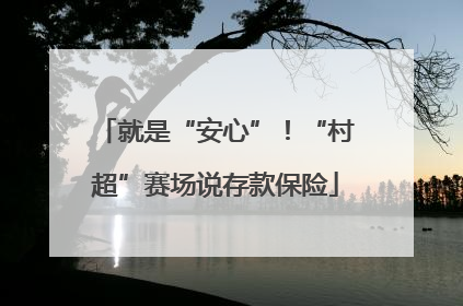 就是“安心”！“村超”赛场说存款保险