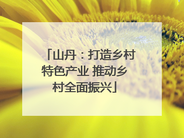 山丹：打造乡村特色产业 推动乡村全面振兴