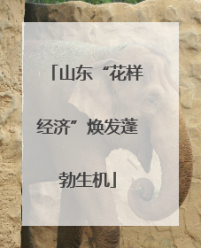 山东“花样经济”焕发蓬勃生机