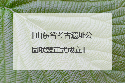 山东省考古遗址公园联盟正式成立
