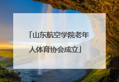 山东航空学院老年人体育协会成立