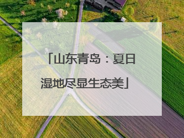 山东青岛：夏日湿地尽显生态美