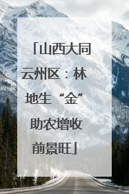 山西大同云州区：林地生“金” 助农增收前景旺