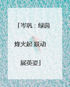 岑巩：绿茵烽火起 跃动展英姿