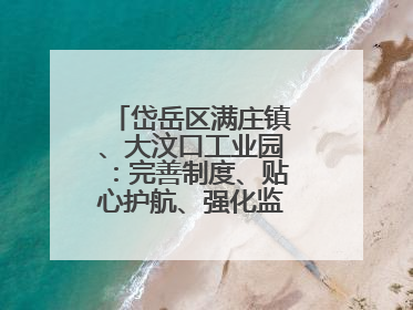 岱岳区满庄镇、大汶口工业园：完善制度、贴心护航、强化监管，打造优质营商“强磁场”