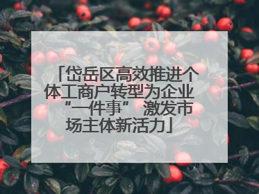 岱岳区高效推进个体工商户转型为企业“一件事” 激发市场主体新活力
