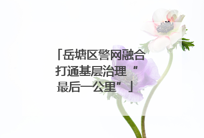 岳塘区警网融合 打通基层治理“最后一公里”