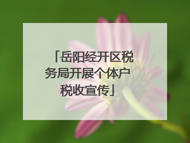 岳阳经开区税务局开展个体户税收宣传