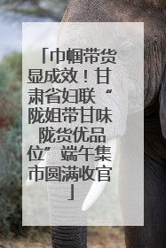 巾帼带货显成效！甘肃省妇联“陇姐带甘味 陇货优品位”端午集市圆满收官