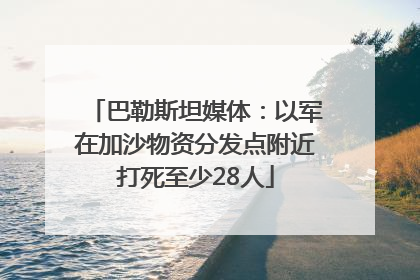 巴勒斯坦媒体：以军在加沙物资分发点附近打死至少28人