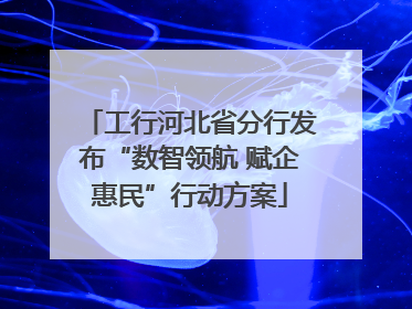 工行河北省分行发布“数智领航 赋企惠民”行动方案