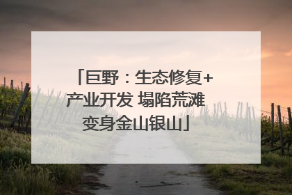 巨野：生态修复+产业开发 塌陷荒滩变身金山银山