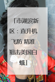 市湖滨新区：直升机飞防 精准狙击美国白蛾