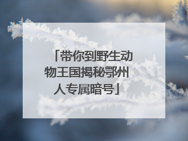 带你到野生动物王国揭秘鄂州人专属暗号