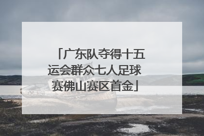 广东队夺得十五运会群众七人足球赛佛山赛区首金