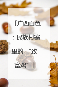 广西百色：民族村寨里的 “致富鸡”