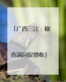 广西三江：椒香满园促增收