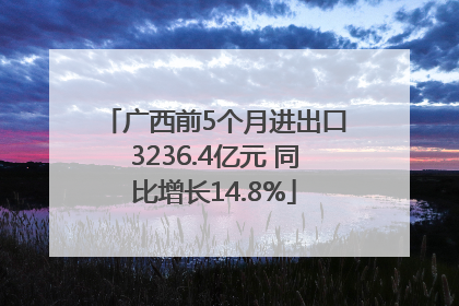广西前5个月进出口3236.4亿元 同比增长14.8%
