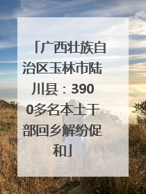 广西壮族自治区玉林市陆川县：3900多名本土干部回乡解纷促和