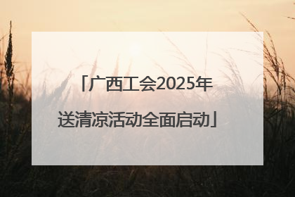 广西工会2025年送清凉活动全面启动